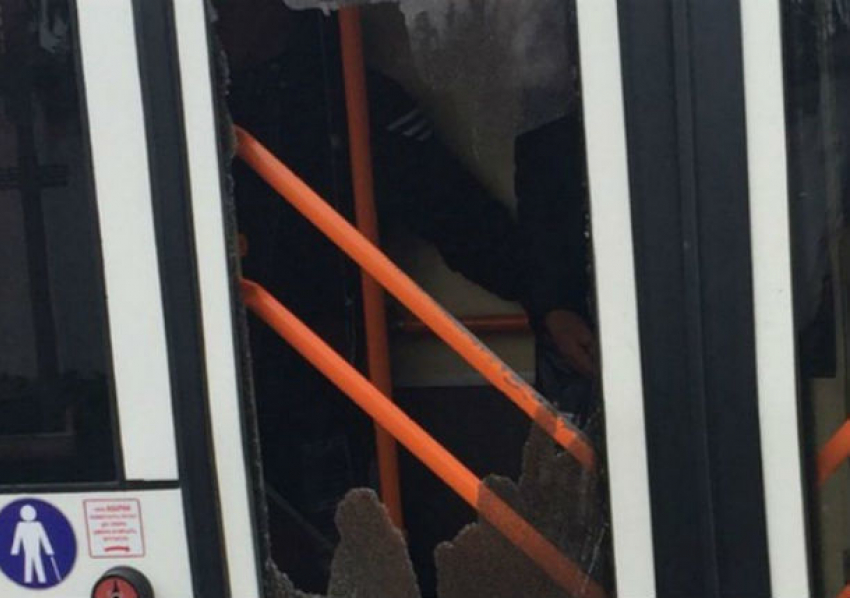 Курьезный инцидент в Бельцах: собака граненым стаканом разбила дверь троллейбуса