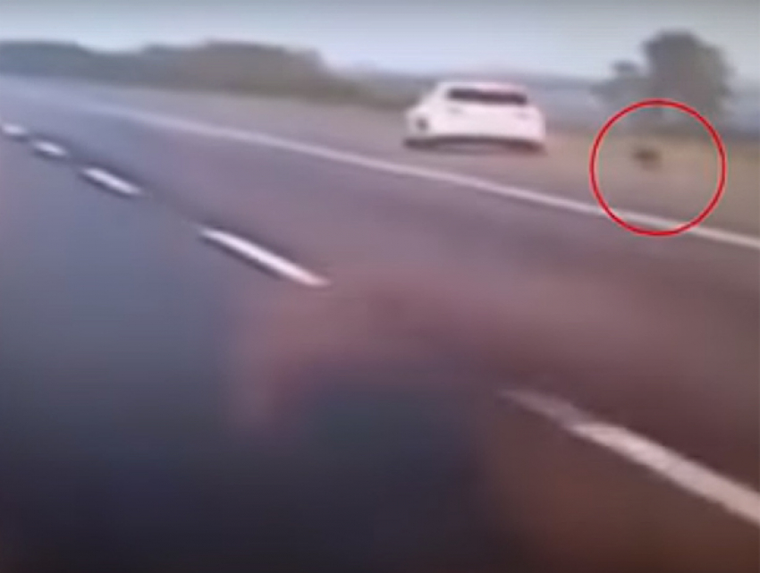 Сумасшедший прыжок обиженной любовником девушки из машины на скорости 96 км/ч сняли на видео 