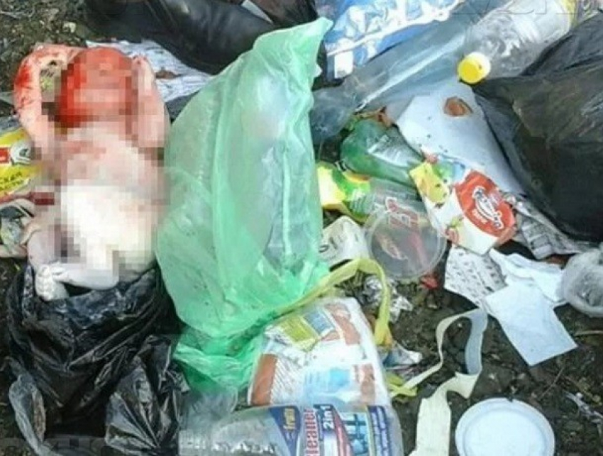 Мертвого младенца в пакете обнаружила женщина в Кишиневе