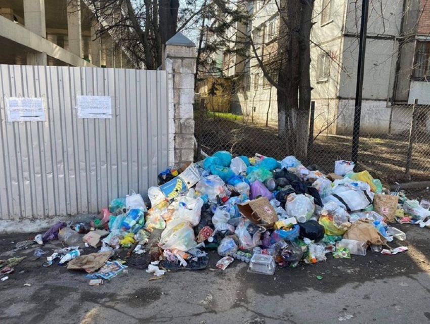 Чебан: те, кто не будет соблюдать чистоту в Кишиневе, будут получать серьезные штрафы!