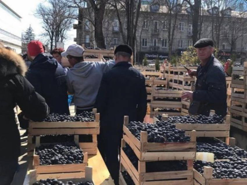 Десятки тонн винограда продали во время ярмарки у Кафедрального собора