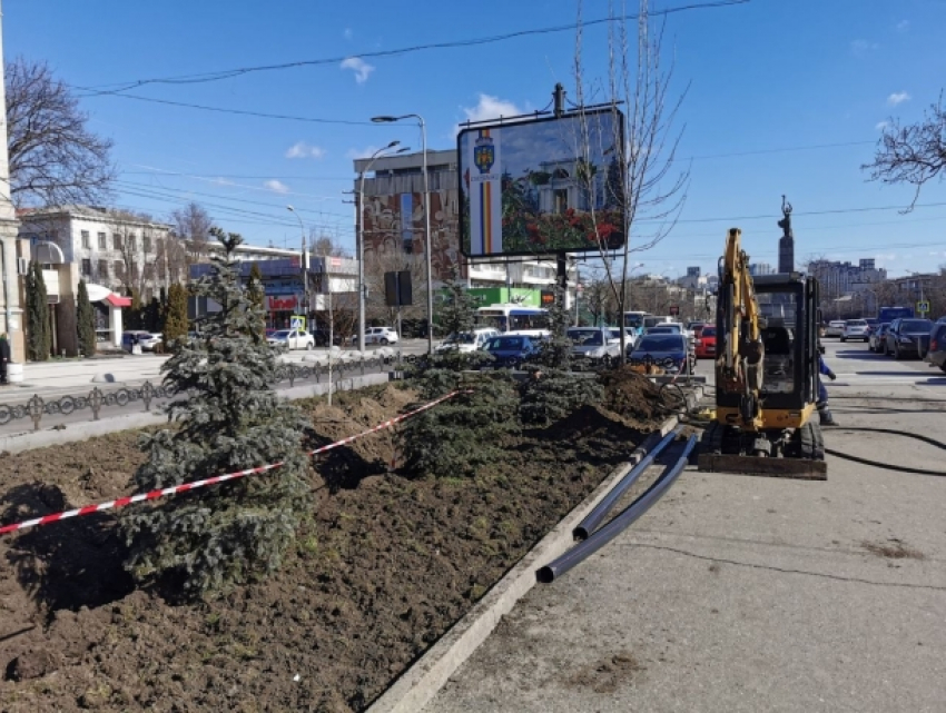 Аллею бульвара Григоре Виеру в Кишиневе активно реконструируют