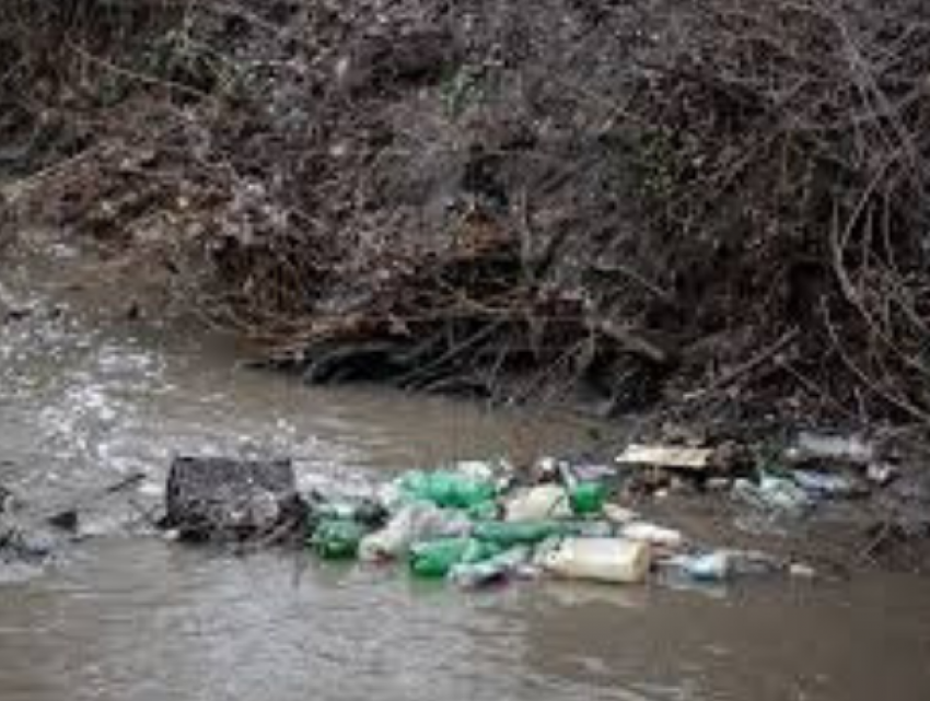 Экологическая катастрофа: столичная легендарная речка на грани исчезновения