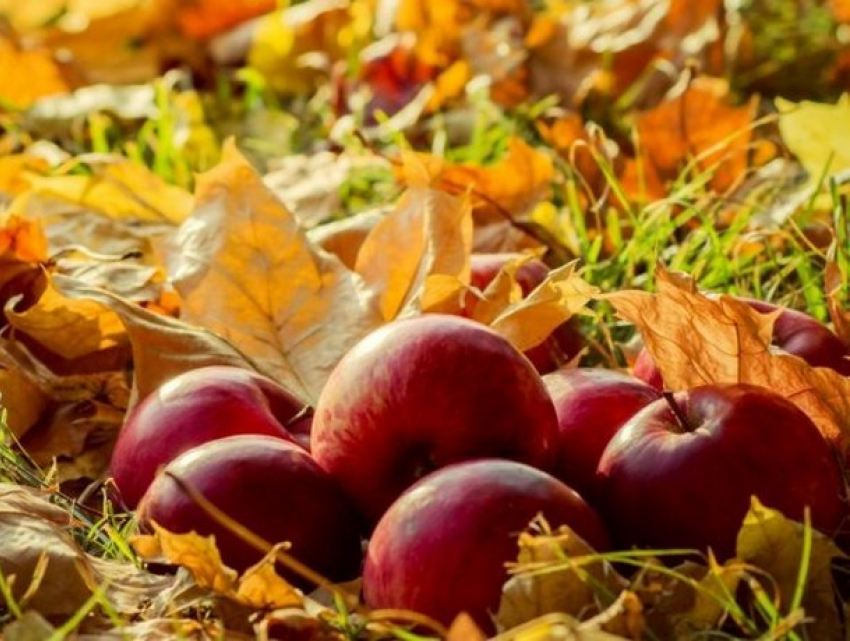 Воскресенье в Молдове будет по-летнему жарким 