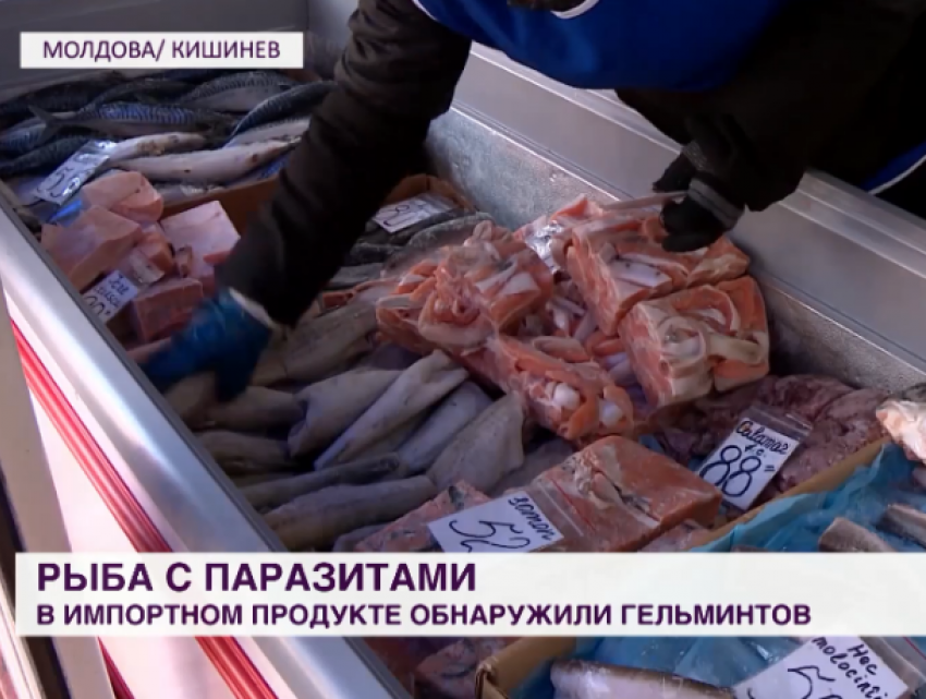 Зараженная глистами рыба: скандал и последствия