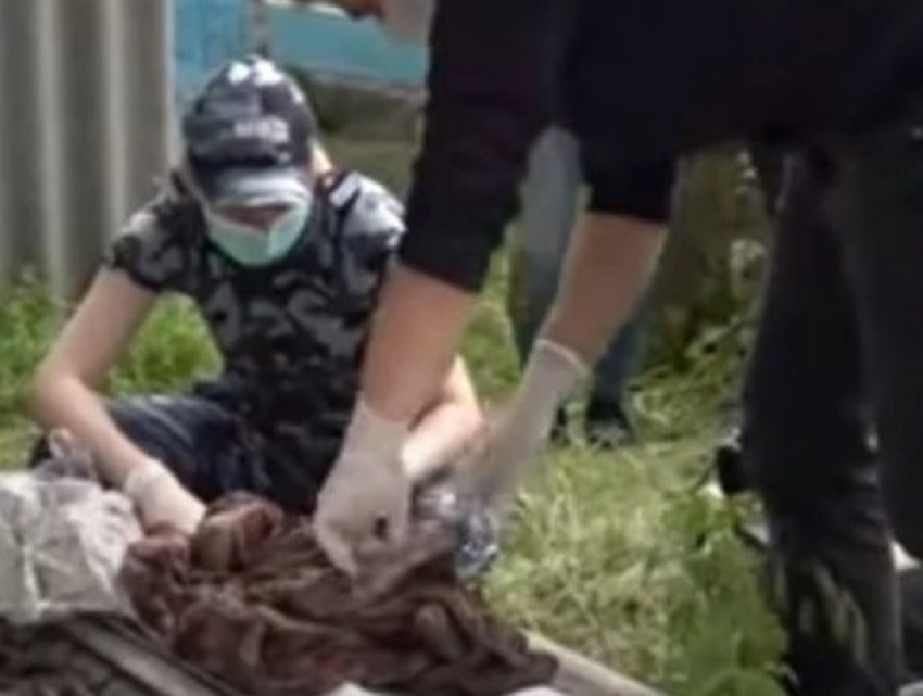 В Приднестровье нашли труп младенца, убитого собственной матерью 10 лет назад 