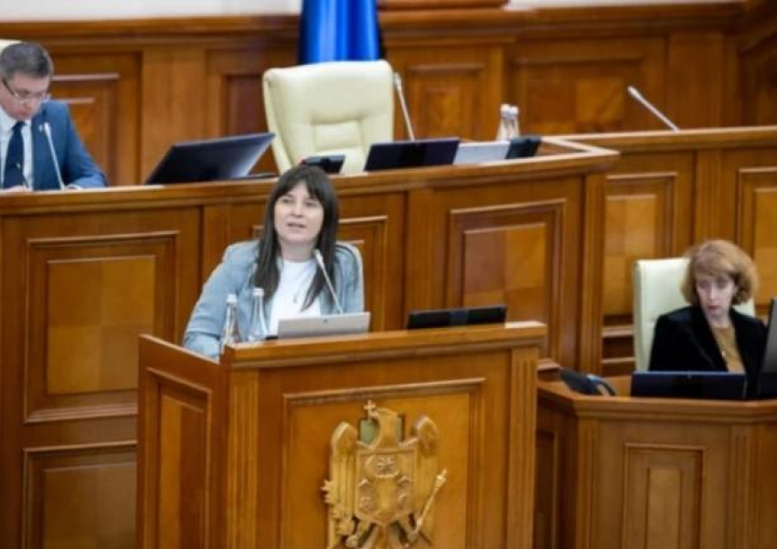 Депутат, раскритиковавшая «упитанных коллег» из оппозиции, представила свою декларацию о доходах