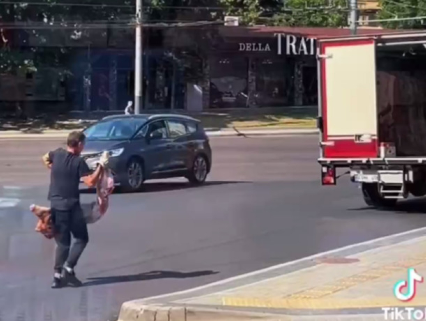 В Кишиневе из грузовика на дорогу выпали туши крупного рогатого скота