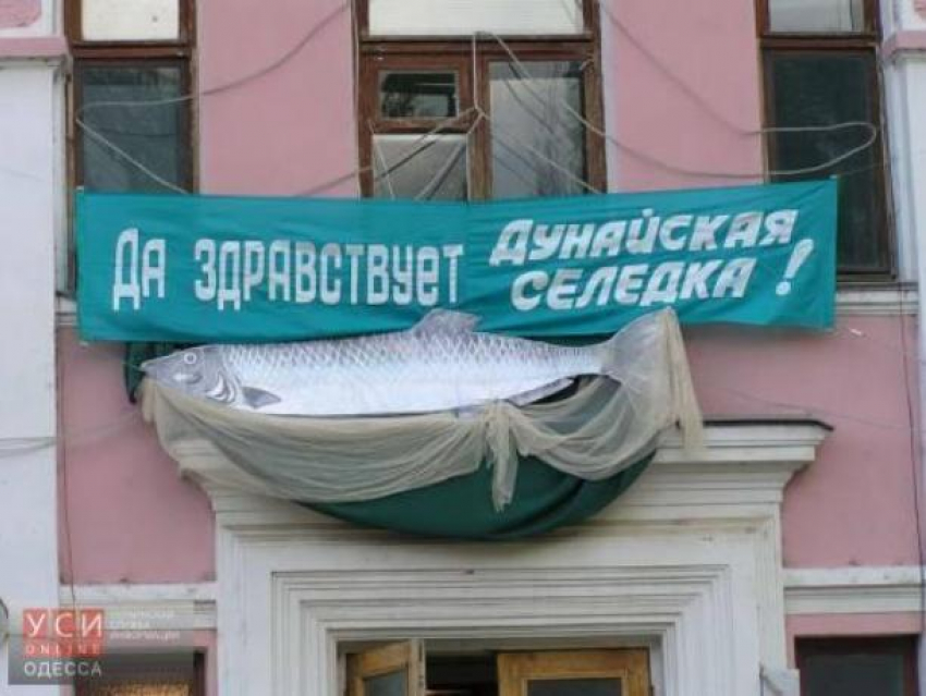 «Кто ел Дунайскую селедку…»  Почему в Бессарабии Пушкин мечтал о дунайской селедке