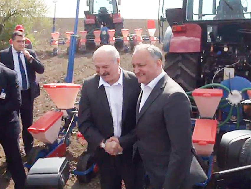 Поле молдавской кукурузы на белорусском тракторе засеяли Додон и Лукашенко 