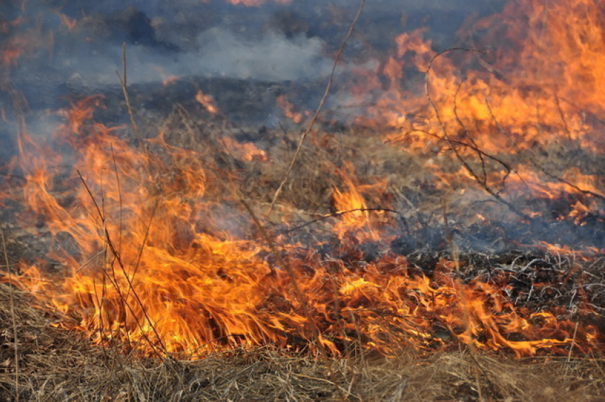 За последние сутки в Молдове сгорели более 180 гектаров сухой растительности
