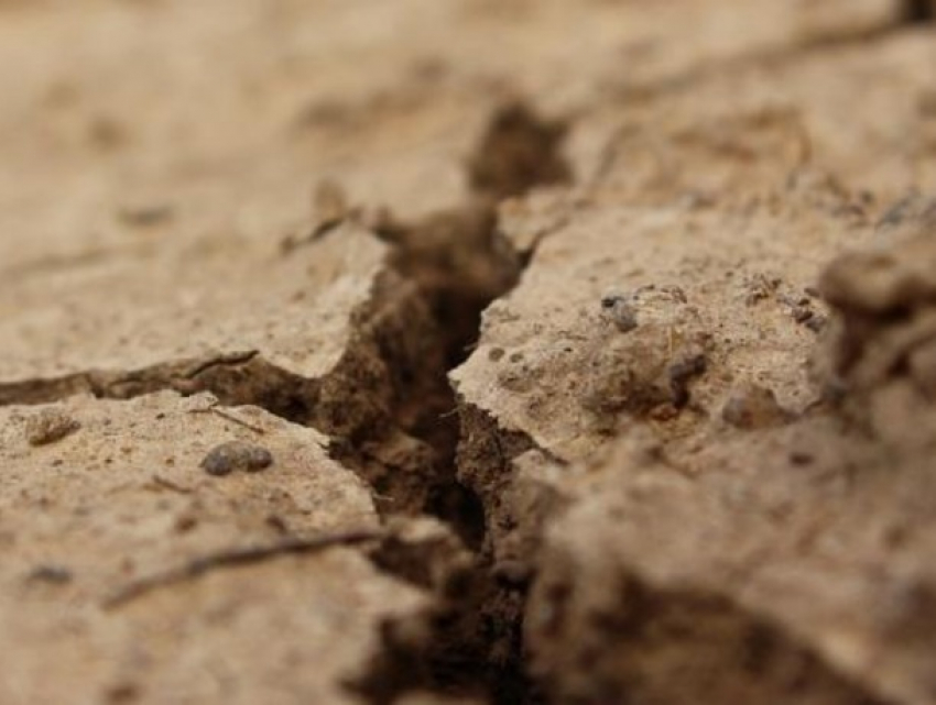 В Молдове планируют создать приложение, связанное с сейсмической опасностью