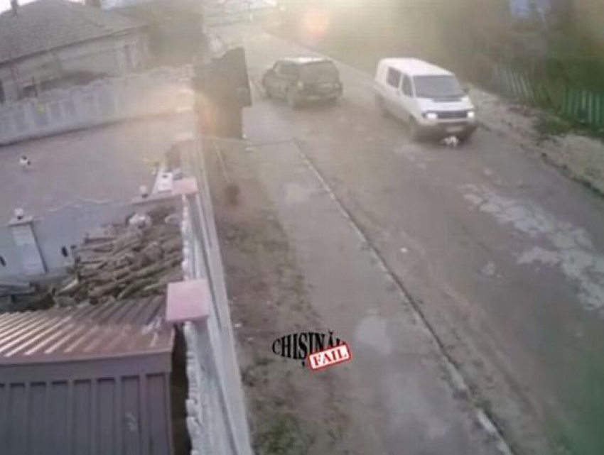 Шок - момент хладнокровного переезда собаки в Кишиневе попал на видео