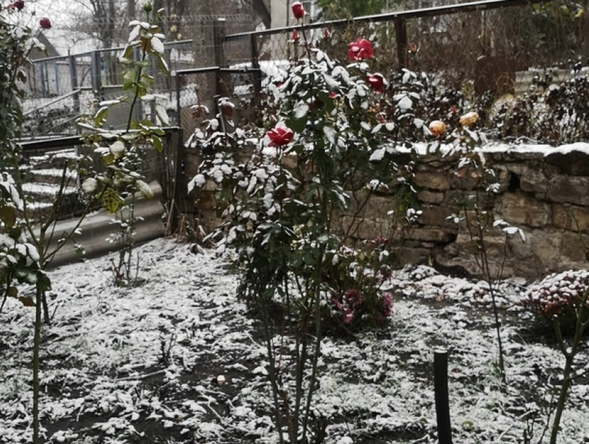 Еще один морозный день и снова потеплеет – погода в Молдове на вторник 