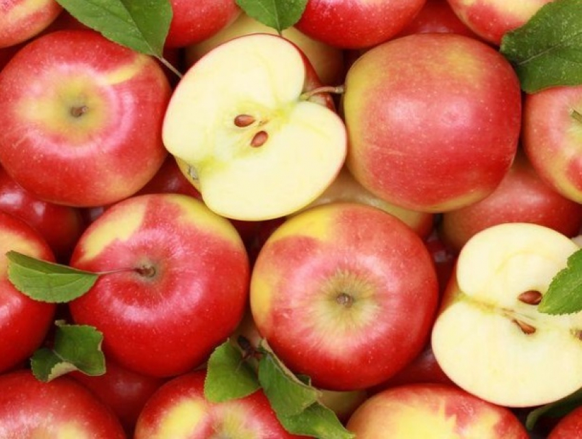 Сбыт винограда и яблок из Молдовы в Россию расширяется