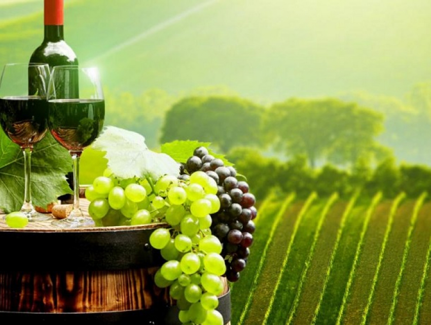 Молдавские вина завоевали 11 медалей в престижном французском конкурсе