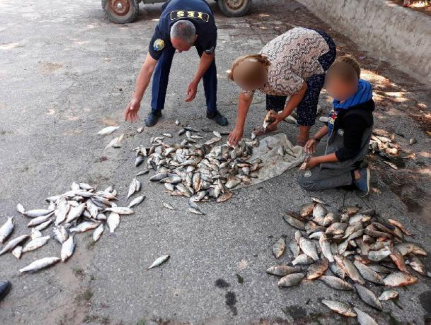 Мальчика с крупной партией незаконно выловленной рыбы поймали в Кагульском районе