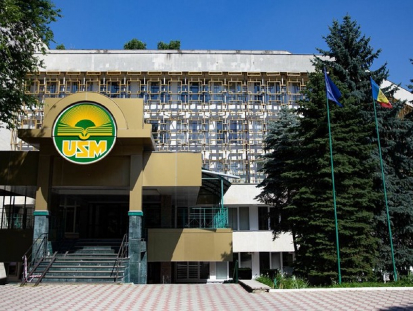 Плагиат под запретом: новые правила для университетов и колледжей