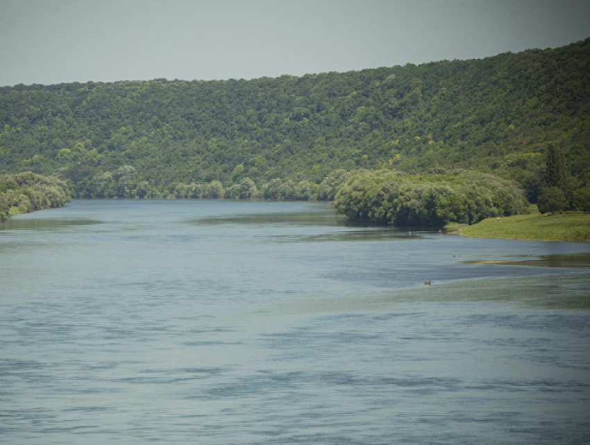 Днестр на территории Молдовы превратится в застоявшееся болото
