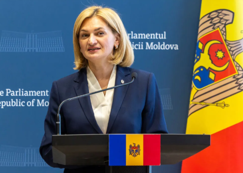 Дойна Герман: украинцы внесли в бюджет Молдовы более 1,6 млрд леев в 2025 году