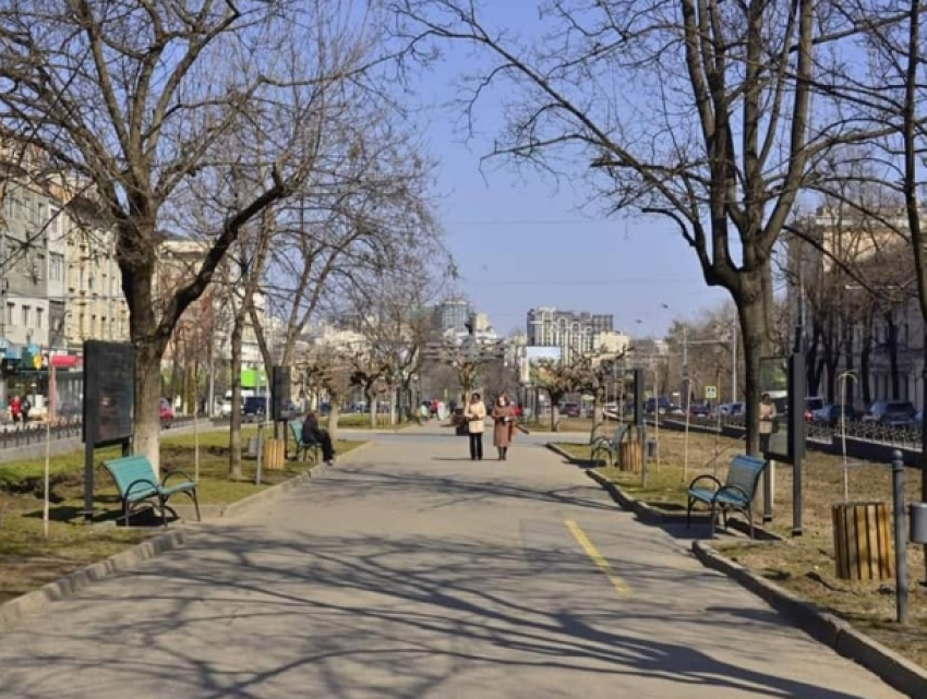 Начался ремонт бульвара Виеру в Кишиневе