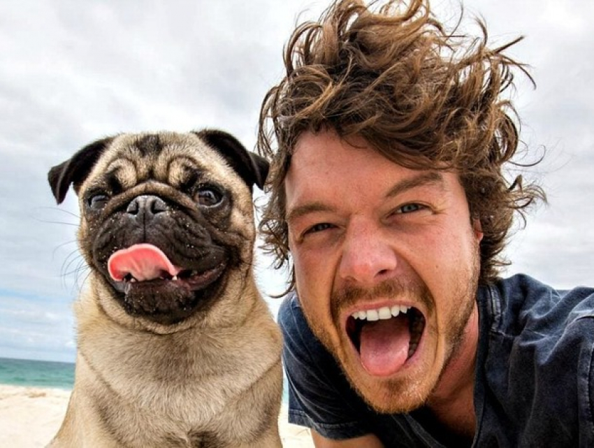 Кишиневский зоопарк объявляет фотоконкурс ко Всемирному дню домашних животных