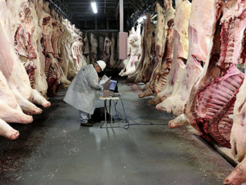 В Кагуле идет война между перекупщиками мяса и проверяющими органами