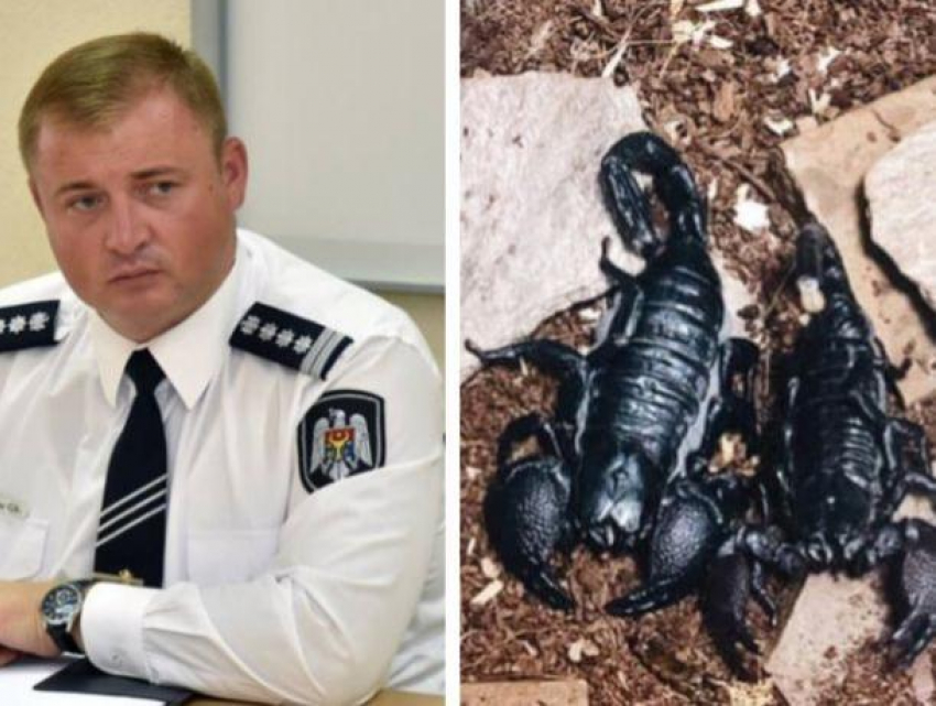 Трагически скончался «друг Кавкалюка", теперь экс-полицейский хочет сохранить его тело