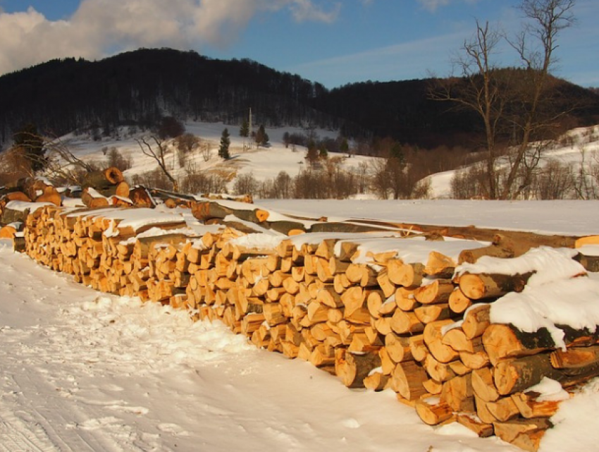Примэрия Комрата закупила первую партию дров для нуждающихся жителей