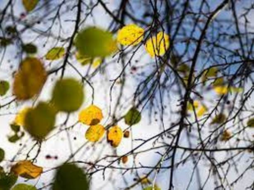 Сегодня жителей Молдовы ожидает чудесный осенний день