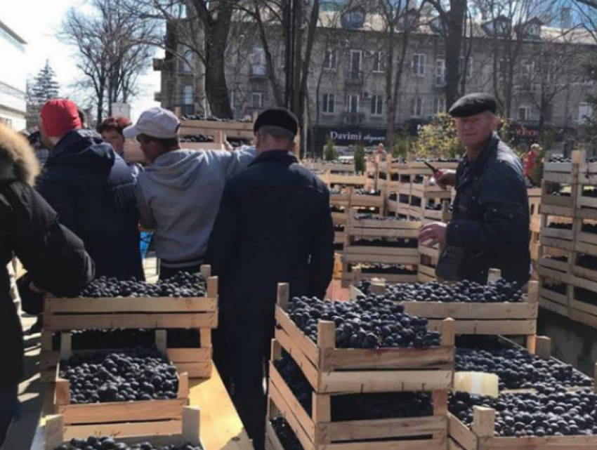 31 марта в центре столицы пройдет вторая ярмарка «Возьми Молдову с собой»