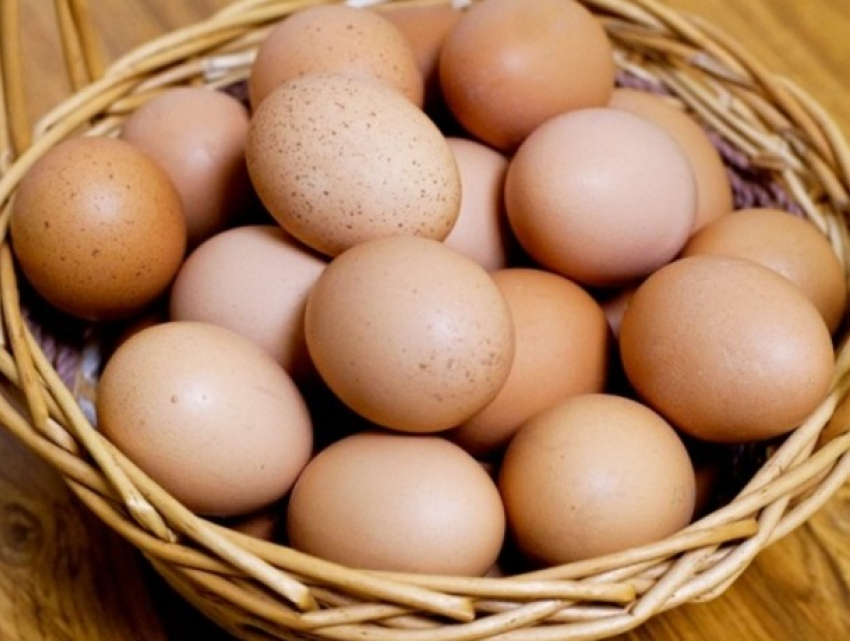 Химия в куриных яйцах: ANSA отзывает продукцию и уничтожает поголовье птиц