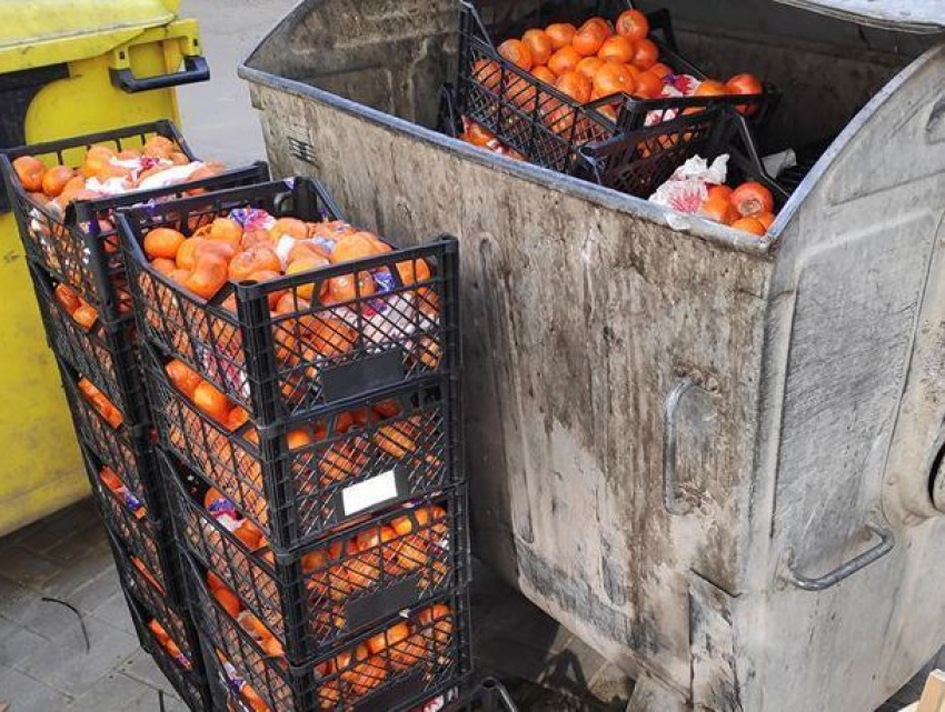 Выброшенные на помойку ящики с мандаринами возмутили жителей Кишинева