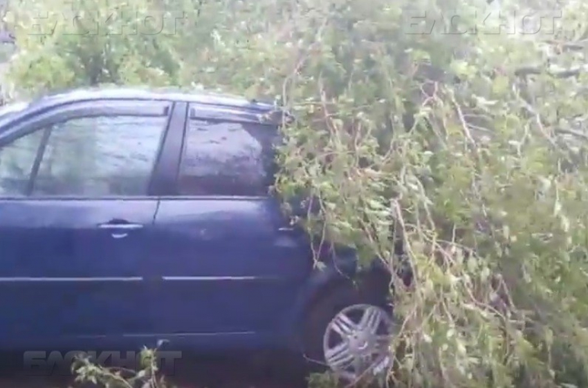 Два дня непогоды в Кишиневе: пострадали машины и могилы