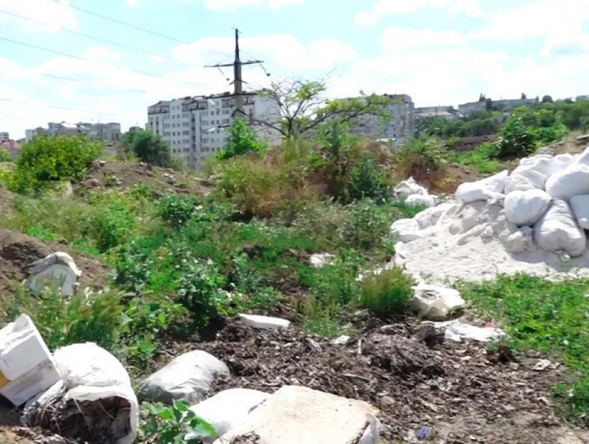 Экологическая катастрофа: свалку с останками животных обнаружили в Кишиневе