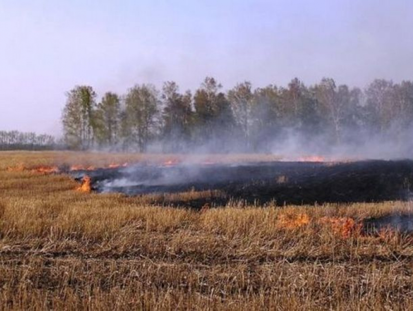 1 августа жара в Молдове немного отступит: стране грозит новая опасность