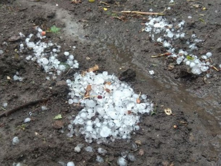На Молдову обрушилась буря: урожай под угрозой