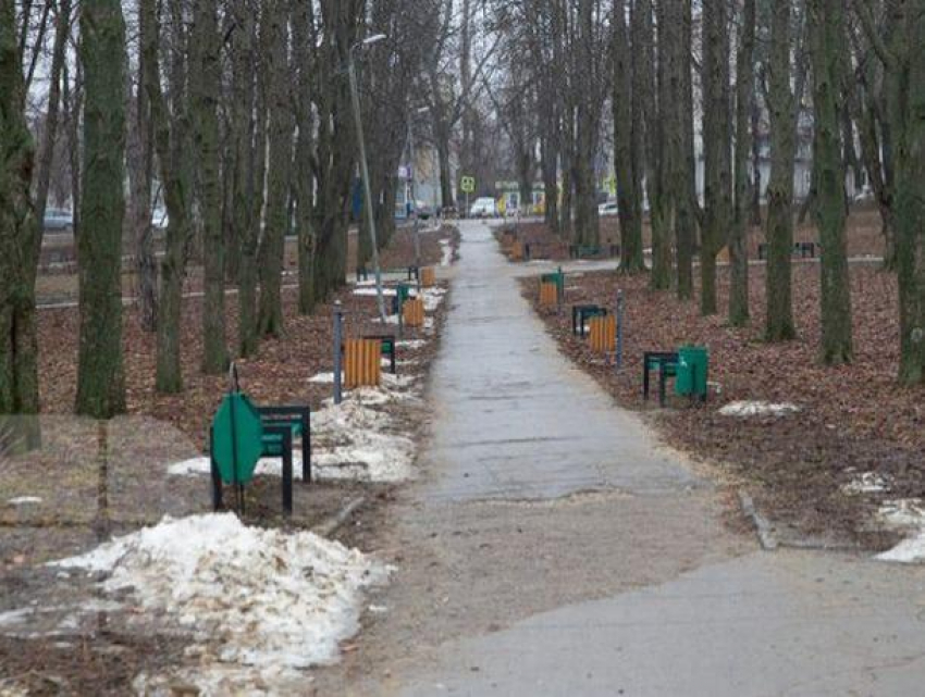 Один из кишинёвских парков подвергнется тотальной реконструкции, до конца года он преобразится до неузнаваемости