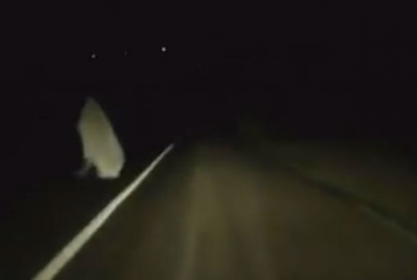 Странный призрак на ночной дороге напугал водителя и попал на видео