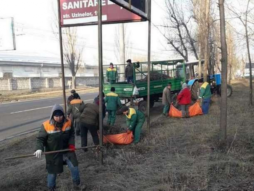 Муниципальные службы продолжают наводить порядок в Кишиневе 