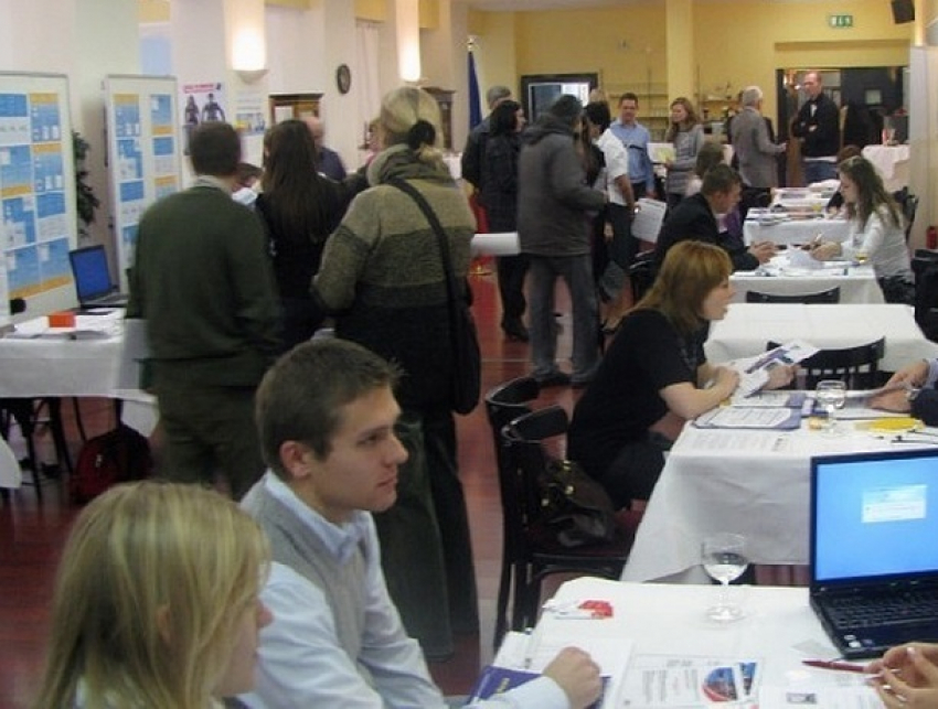 Как в Молдове решили бороться с безработицей: основные меры