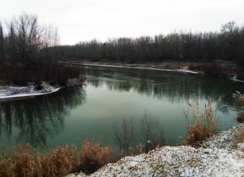 «Приплыла к нему рыбка…» (Чем угощали Пушкина на реке Прут в 1821 году)