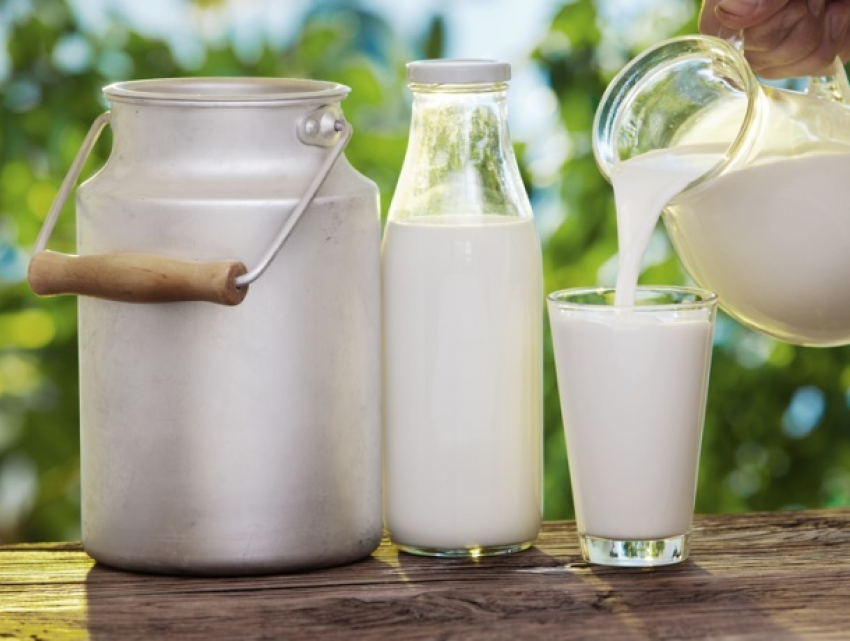 "Платиновое» молоко в беднейшей стране Европы