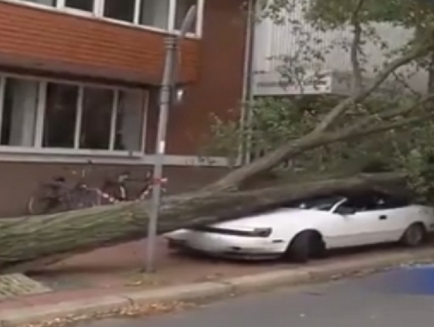 Смертельный ураган, ударивший по Германии, снял на видео молдаванин 