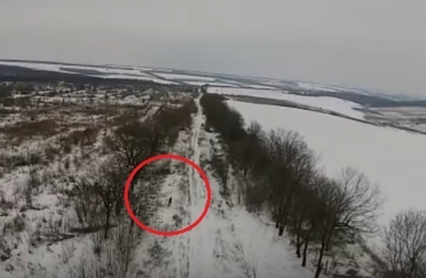 Украинские таможенники поймали молдаванина-нелегала при помощи дрона