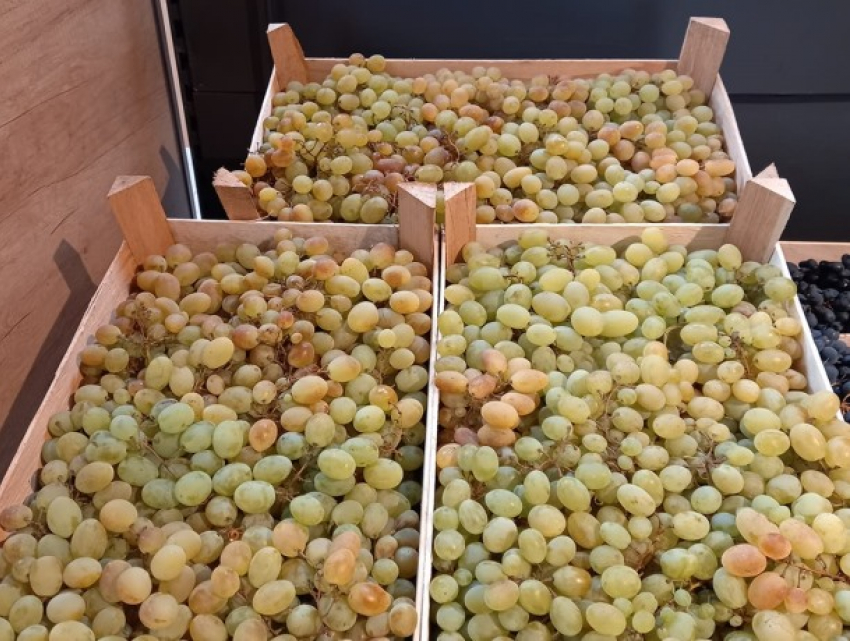 В Кишиневе виноград продают по 40 за килограмм, да и то по скидке