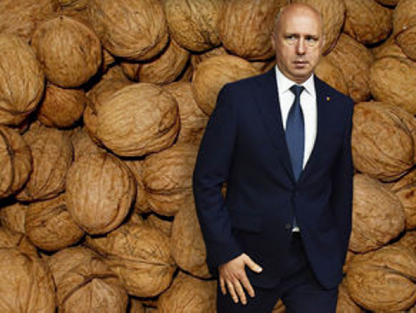 Молдова входит в топ-10 стран мира по экспорту орехов