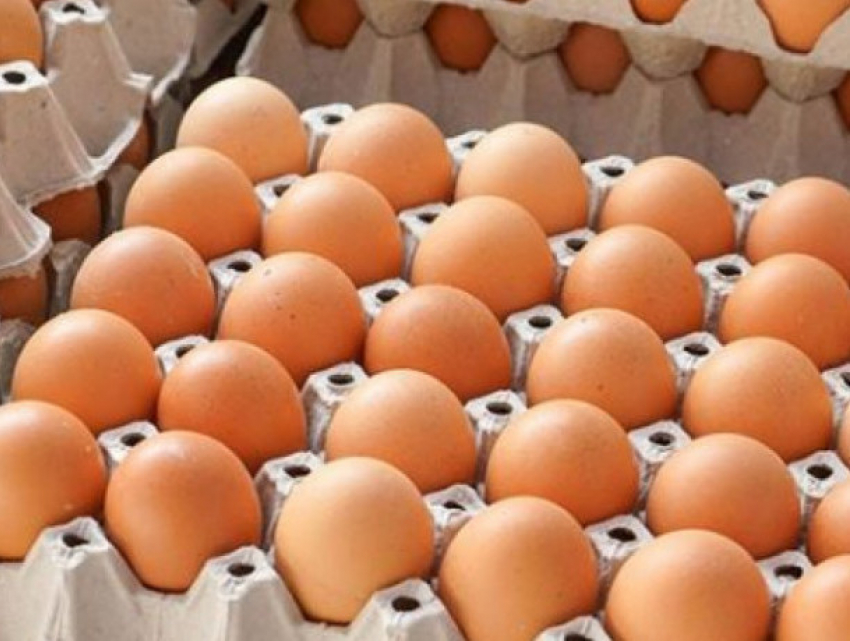 Яйца раздора: три взгляда на историю с просроченными яйцами в детских садах