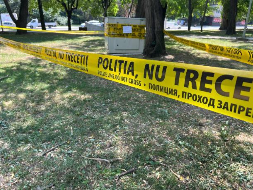 Двойное убийство в Резинском районе: тела матери и дочери нашли в кукурузном поле