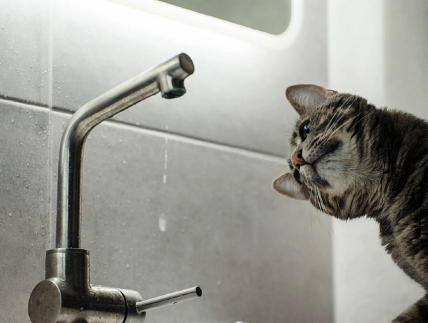 Новый год без воды: в Кишиневе аварии на канализации привели к массовым отключениям